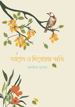 দরবেশ ও দিশেহারা পাখি
