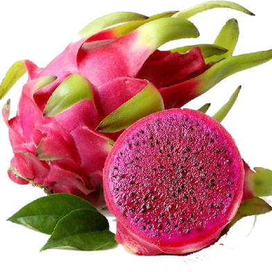 Dragon Fruit Pitaya Seeds 20 Pcs image