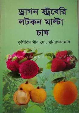  ড্রাগন স্ট্রবেরি লটকন মাল্টা চাষ image