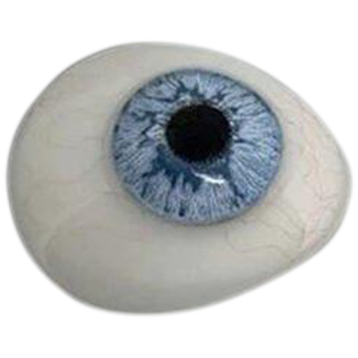 Dreamgirls Venice Blue Color Contact Lens image