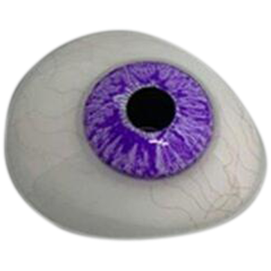 Dreamgirls Venice Violet Color Contact Lens image