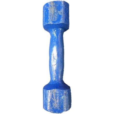 Dumbbell 2 kg Navy Blue - 1 Pcs image