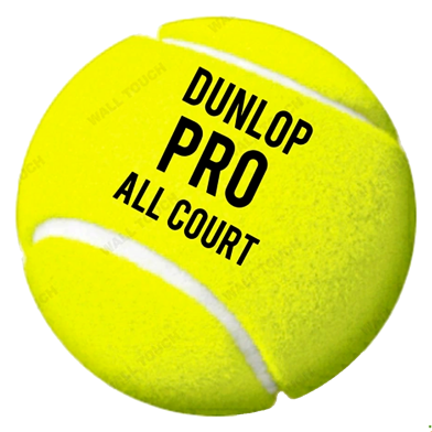Dunlop Pro Professional Tennis Ball All Court Sports For Practice (tenis_dunlop_3pcs_proallcourt) Multicolor - 3 Pcs image