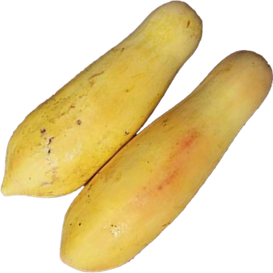 Dwarf Hovey Papaya Bonsai Fruit Seeds 10 Pcs image