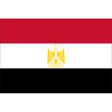 Egypt Flag FIFA World Cup 2026 Printed Polyester Fabric image