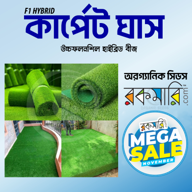 F1 Hybrid Lawn Grass Carpet Grass Seeds image