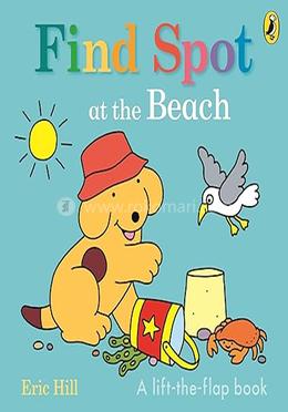 Find Spot at the Beach image