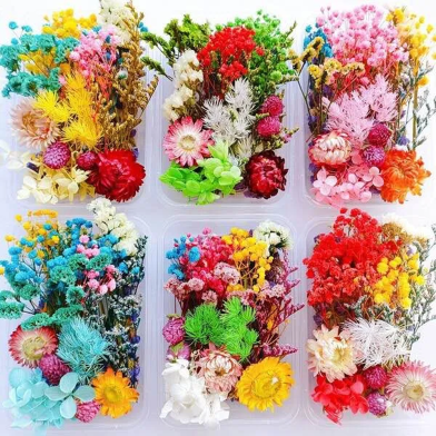Floating Dried Flower DIY Gift Set (Mother’s Day) image