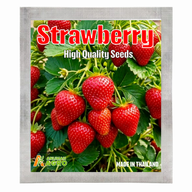 Four Seasons Strawberry Bonsai Seeds 20 Pcs image