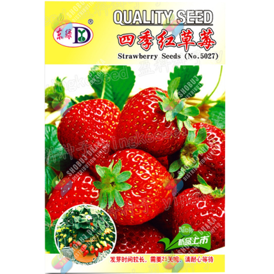 Four Seasons Strawberry Seeds Re-Pack - 0.1gm image