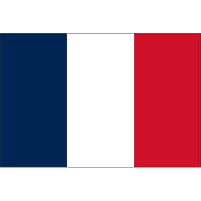 France Flag FIFA World Cup 2026 Printed Polyester Fabric image