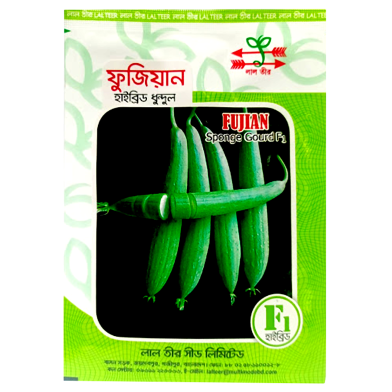 Fujian Hybrid Sponge Gourd Seeds (10gm) image