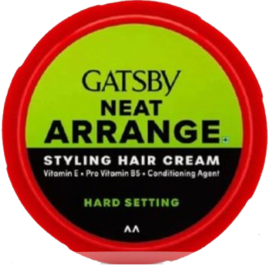 Gatsby Styling Hair Cream Hard Setting Neat Arrange 125gm | Indonesia image