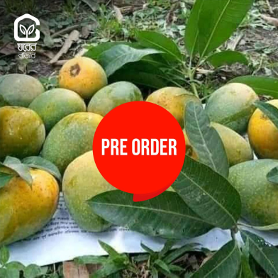 Ghorer Bazar Himsagar Mango - 5 kg image