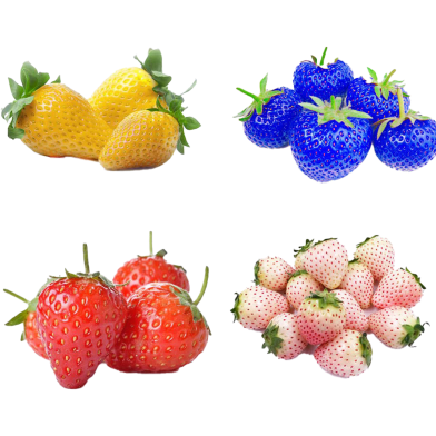 Giant Mix Sweet Strawberry Seeds - 20 Pcs image
