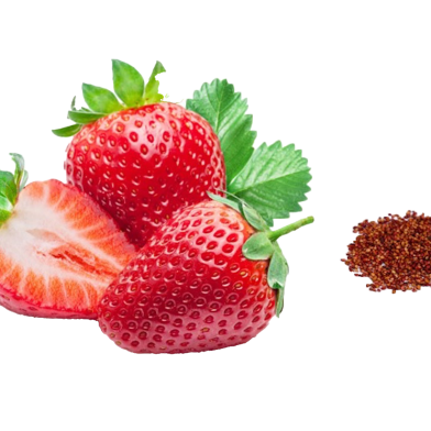 Giant Red Strawberry Fruit Bonsai 20 Pcs Seeds image