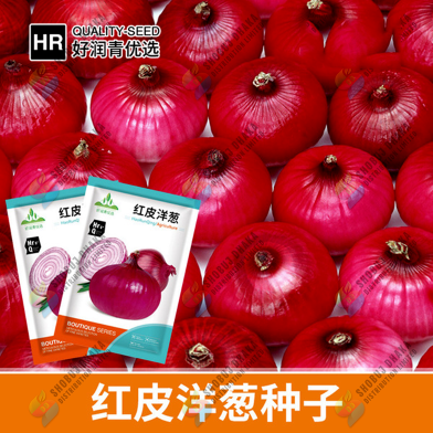 Giant Red onion Seeds - 0.1gm image
