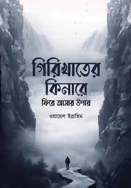 গিরিখাতের কিনারে ফিরে আসার উপায় image