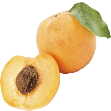 Global Apricot Tree 2 Pcs Seeds image