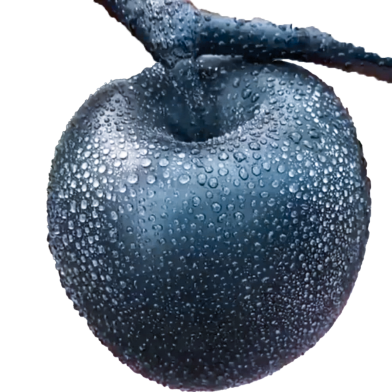 Global Black Diamond Apple Seeds - 20 Pcs image