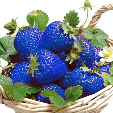 Global Blue Strawberry Seeds - 30 Pcs image