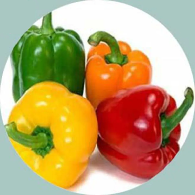 Global Fresh Multicolour Capsicum Seeds - 10 Pcs image