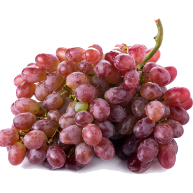 Global Grape Seeds - 10 Pcs image
