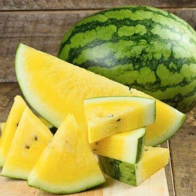 Global Sweet Yellow Watermelon Bonsai Seeds - 10 Pcs image
