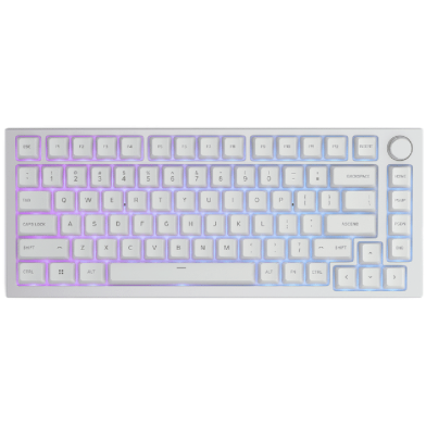 Glorious GMMK Pro 75 Percent Barebone ANSI USA White Ice image