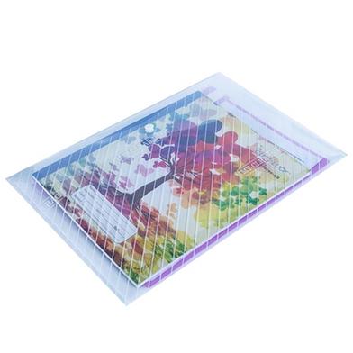 Good Luck My Clear Bag - FC image