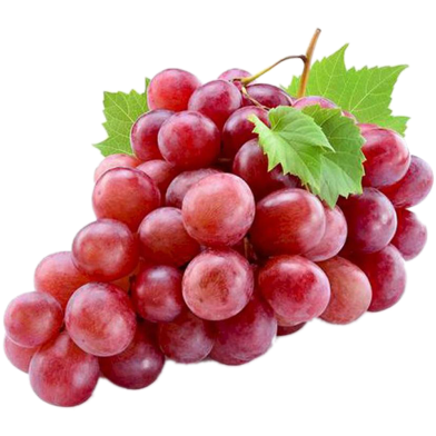 Graps Fruit Seed Red image