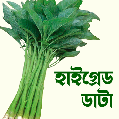 Green Data Shak Beej image