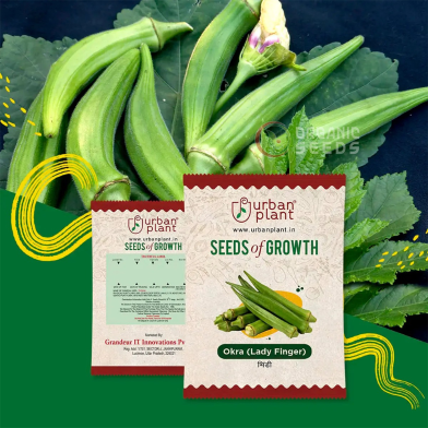 Green Okra (Lady Finger) Seeds (ঢেঁড়স) image