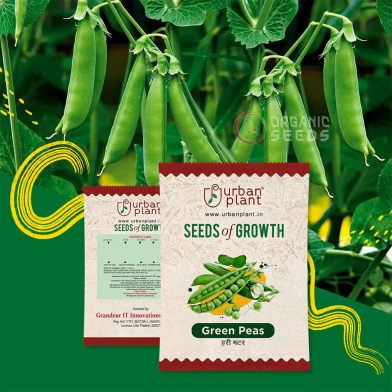 Green Peas (মটরশুঁটি) Seeds image