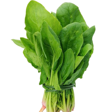 Green Spinach / Palong Shak Seeds - 50 Pcs image