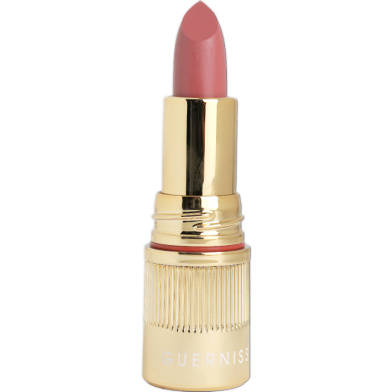 Guerniss Soft Burnt Matte Makeup Holding lipstick 3g- G103 image