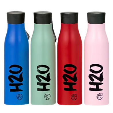 H2O stainless steel Vacuum Water Bottle 500ml image