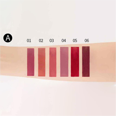 HANDAIYAN 6 Colors Long Lasting Velvet Lips Tint Liquid Lipsticks Waterproof Non-Stick Cup Lipgloss Gift Set (A)