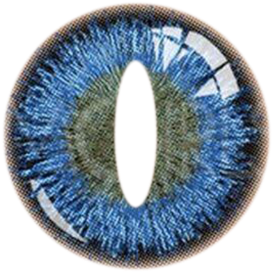 Halloween Cosplay Sherlock Homes Colour Contact Lens image