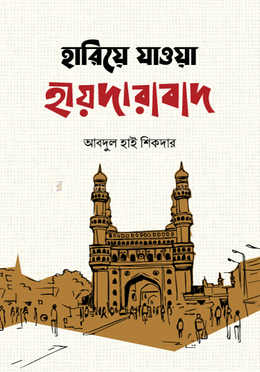 হারিয়ে যাওয়া হায়দারাবাদ image