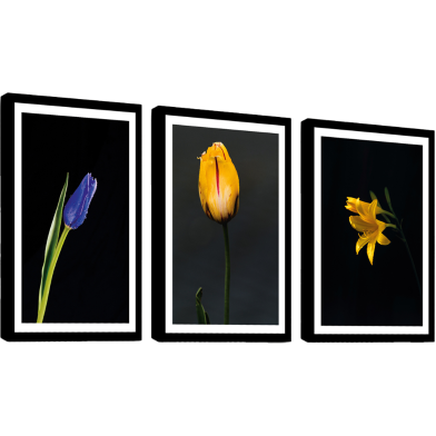 Hasain Mart Islamic Wall Canvas Combo 36 x 16 Inch (Total) image