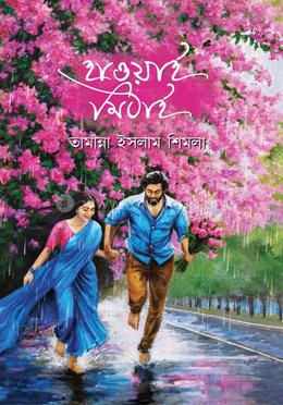 হাওয়াই মিঠাই image