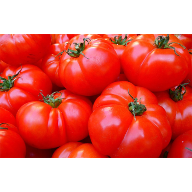 Hazari Baromasi Tomato Beej image