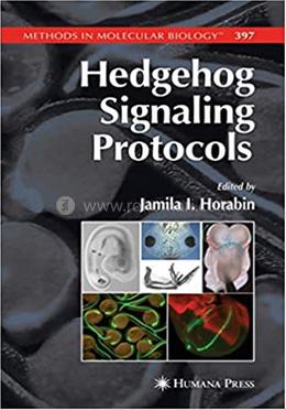 Hedgehog Signaling Protocols