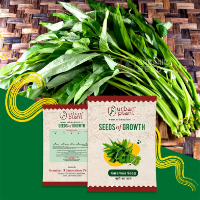 High Grade Kolmi Shak Seeds image