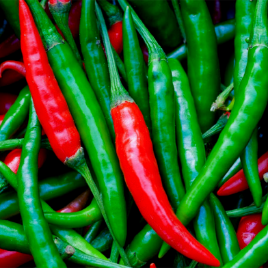 Hybrid All Season Chili Re-Pack (Indian) Seeds - 0.1gm image