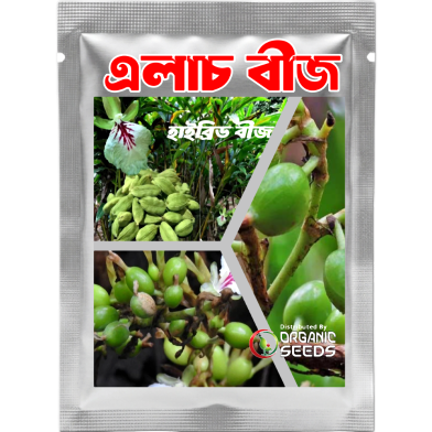 Hybrid Cardamom Seeds Elachi Imported Intact Pack 0.25gm image