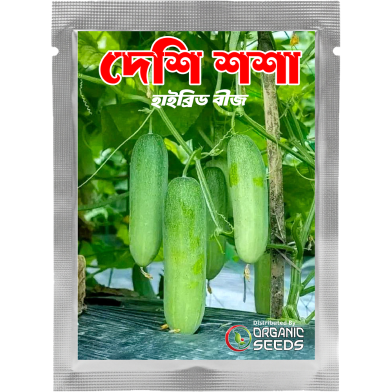 Hybrid Cucumber Seeds Sosha Intact Pack 0.25gm image