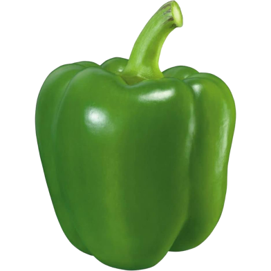 Hybrid F1 Green Capsicum image