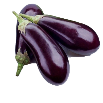 Hybrid F1 Long Brinjal 20 Pcs Seeds image